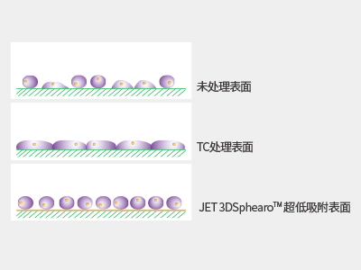 超低吸附表面具有共價結(jié)合的水凝膠層，具有極強(qiáng)的抗蛋白吸附性和抗細(xì)胞貼壁性，可有效抑制細(xì)胞附著