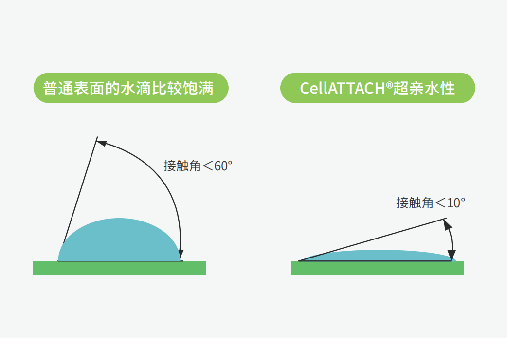 獨特的超親水表面處理技術(shù)，能為細胞提供更好的吸附性，促進細胞快速貼壁生長，提高產(chǎn)量